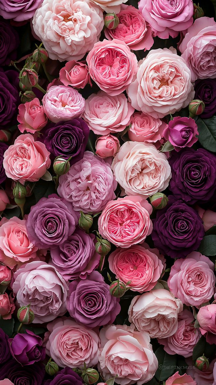 Bouquets de pivoines - Florgan SA