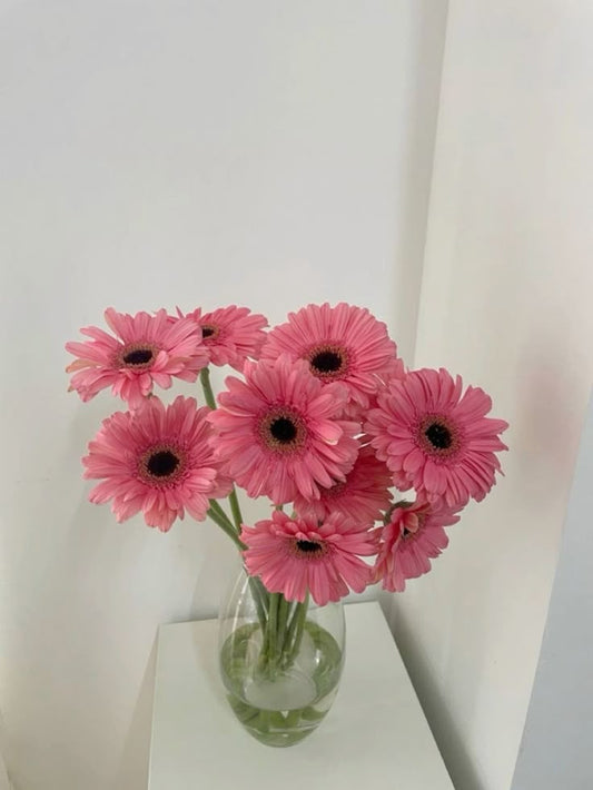 Pink Charm